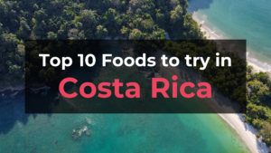 Read more about the article Top 10 Foods in Costa Rica