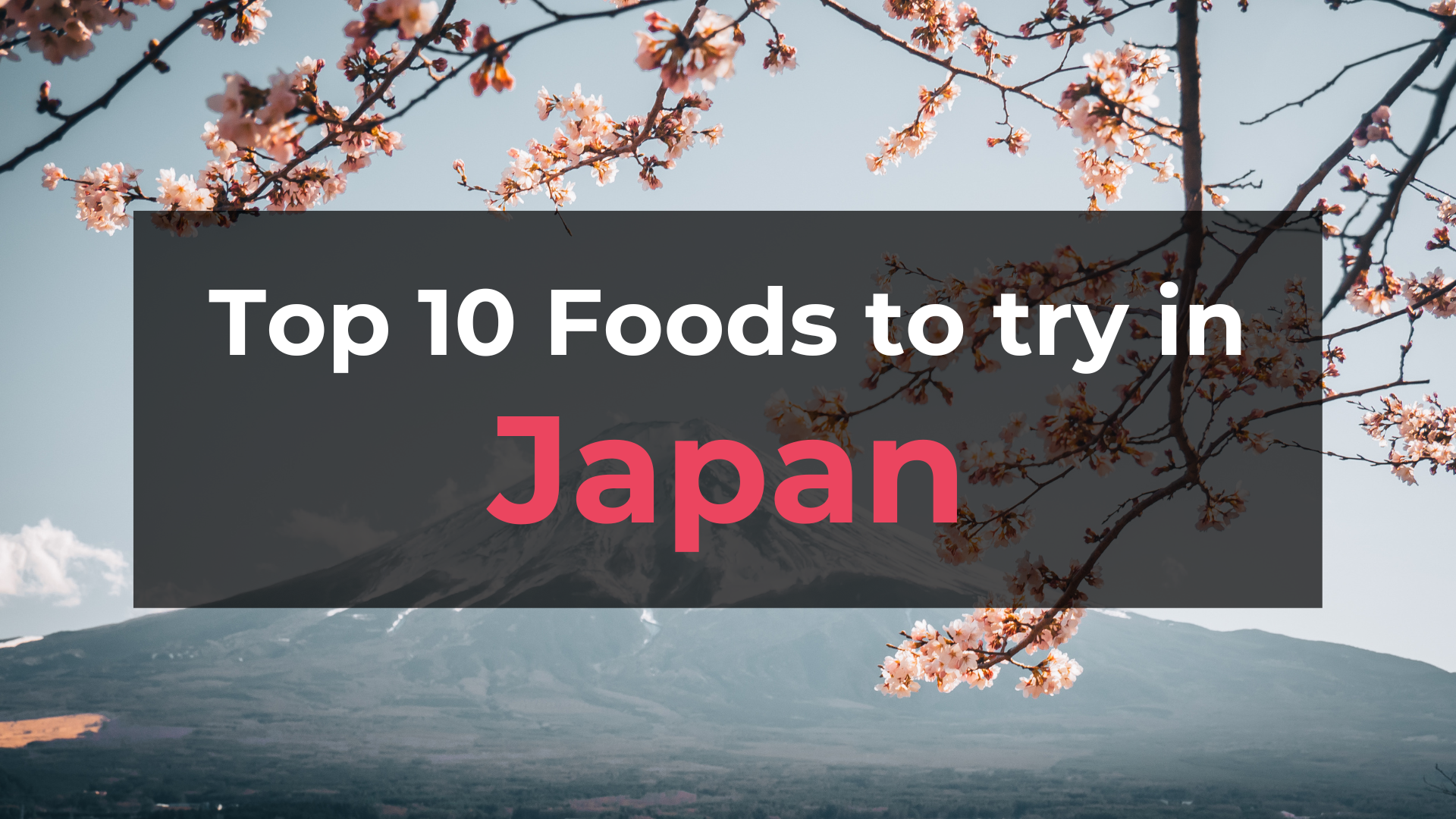 Read more about the article Top 10 Foods in Japan