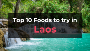 Read more about the article Top 10 Foods in Laos