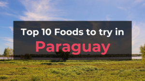 Read more about the article Top 10 Foods in Paraguay