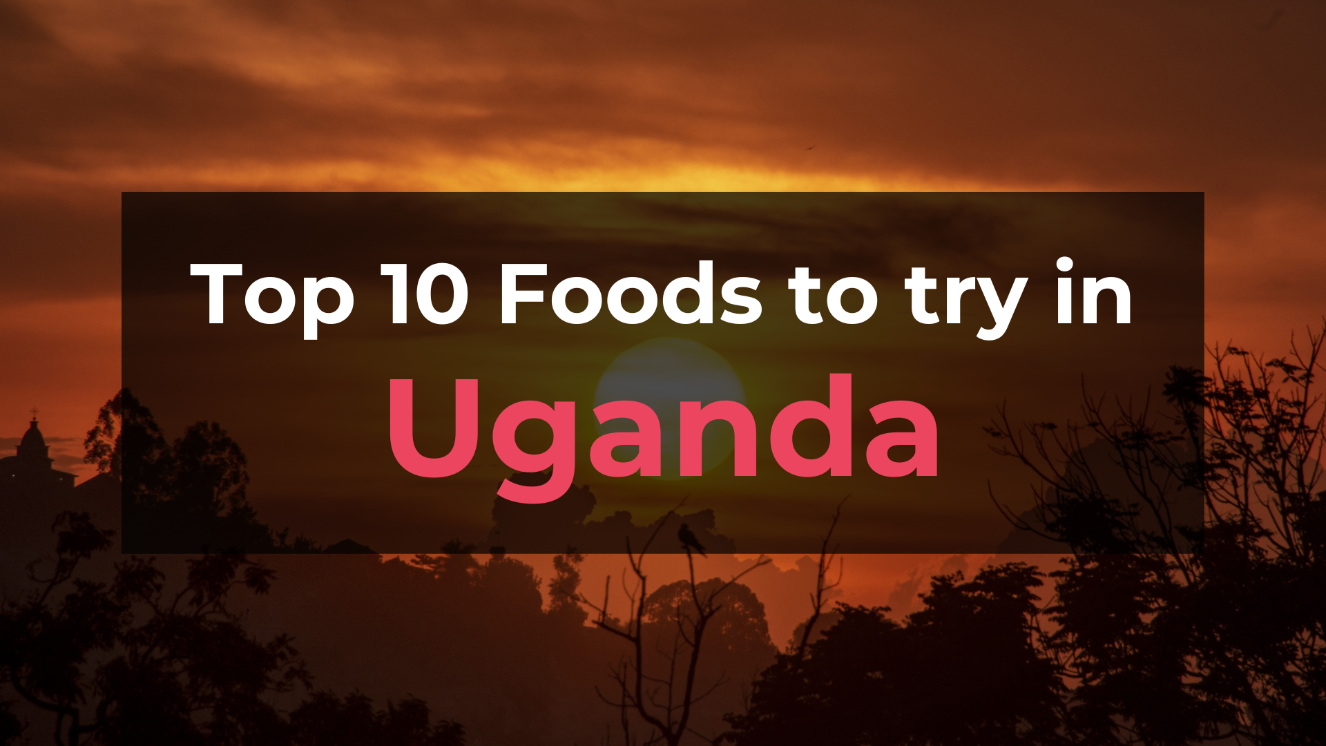 Read more about the article Top 10 Foods in Uganda