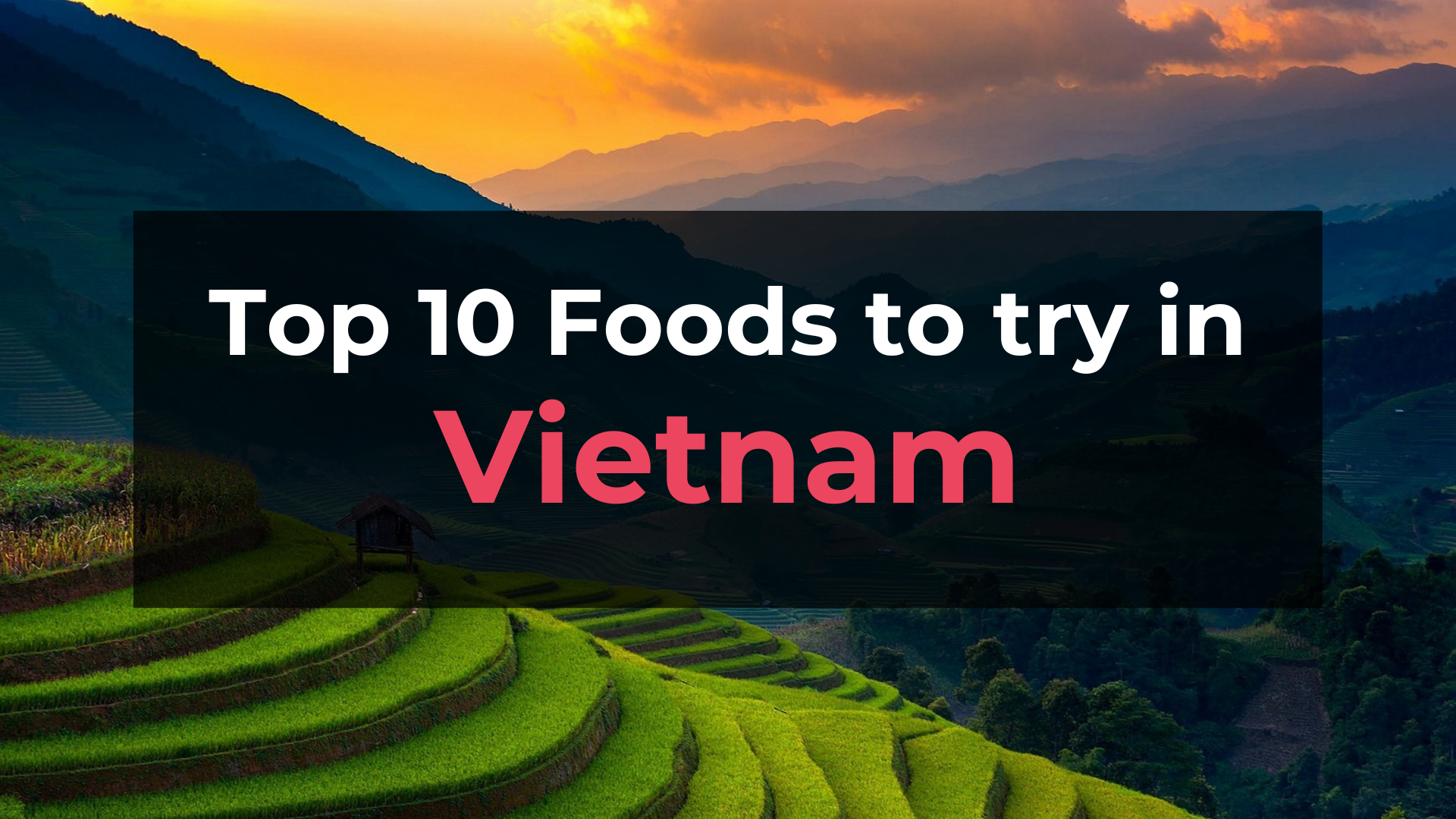 Read more about the article Top 10 Foods in Vietnam