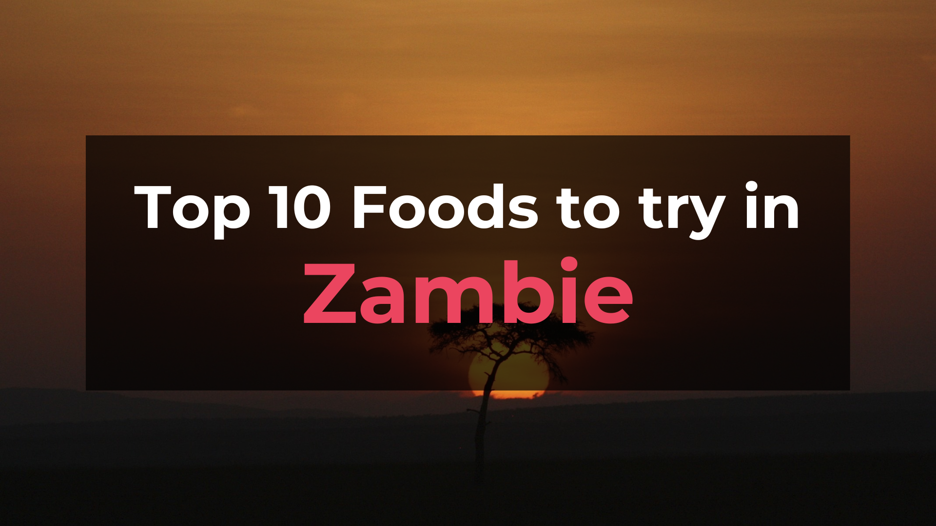 Read more about the article Top 10 Foods in Zambie