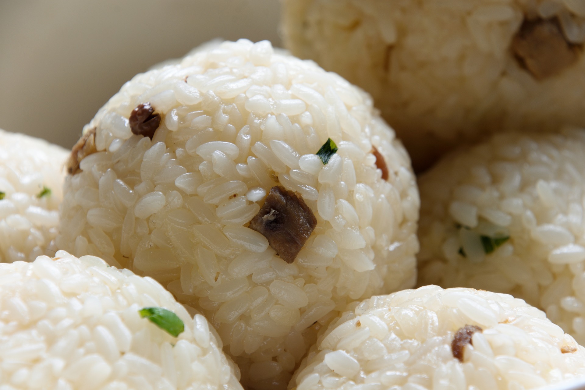 Read more about the article Exploring the Delights of Onigiri: A Traditional Japanese Comfort Food