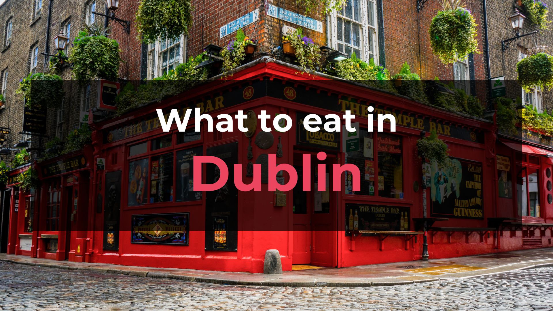 Read more about the article What to Eat in Dublin: 10 Foods You Should Try