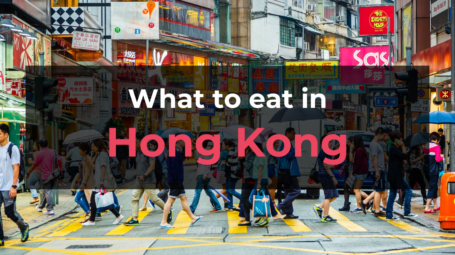 Read more about the article What to Eat in Hong Kong: 10 Foods You Should Try