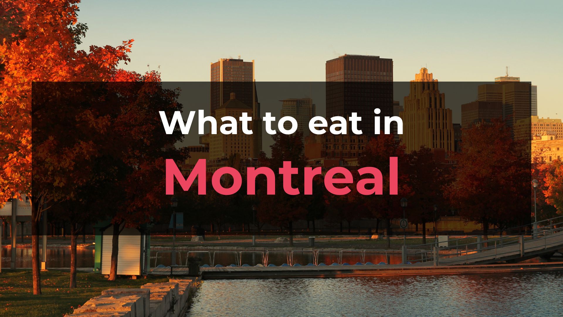 Read more about the article What to Eat in Montreal: 10 Foods You Should Try