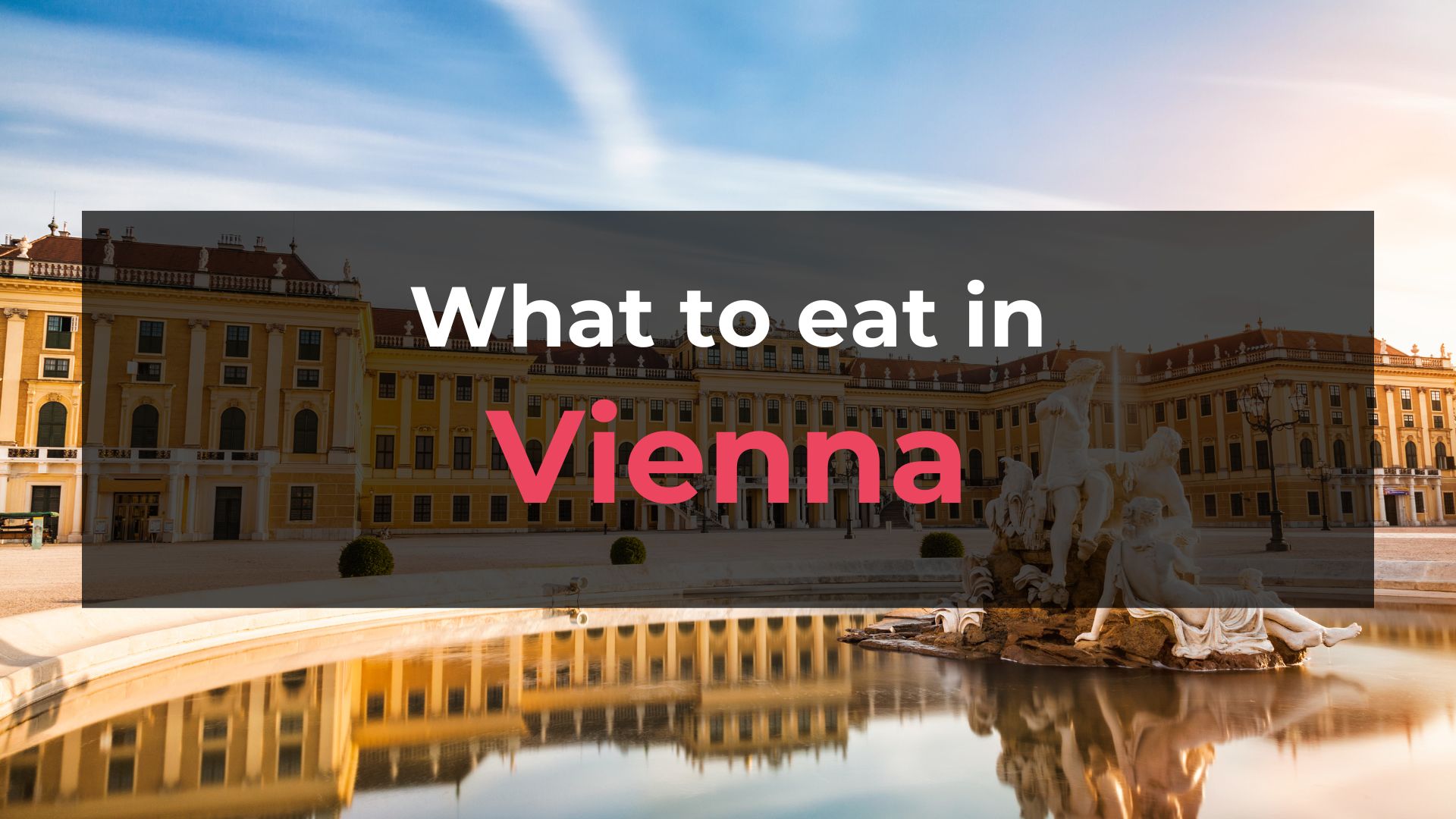 Read more about the article What to Eat in Vienna: 10 Foods You Should Try